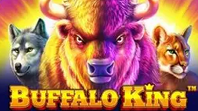 Buffalo King